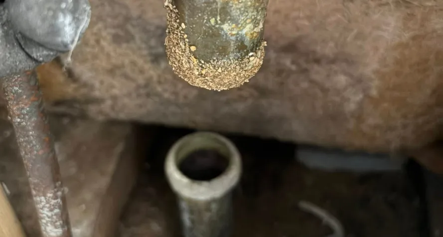 sewer line work plainview tx