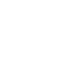customer